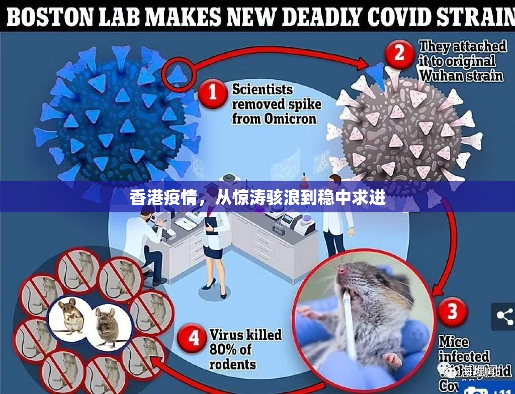 香港疫情,从惊涛骇浪到稳中求进