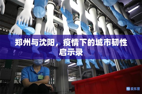 郑州与沈阳,疫情下的城市韧性启示录