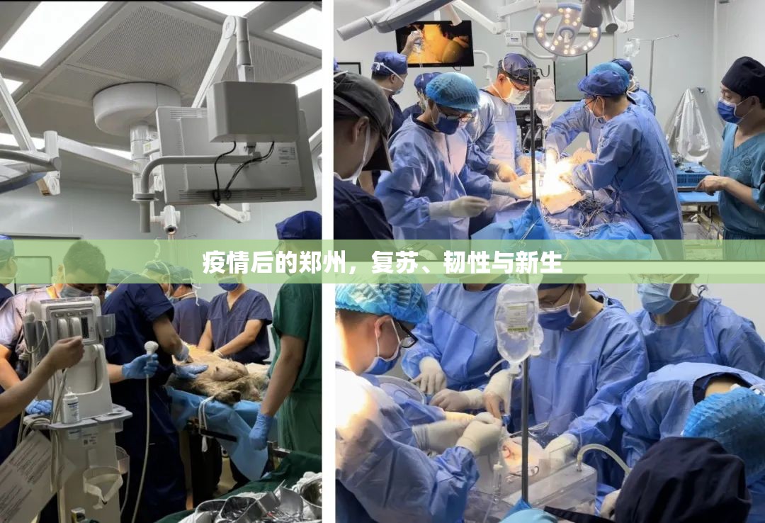 疫情后的郑州,复苏、韧性与新生