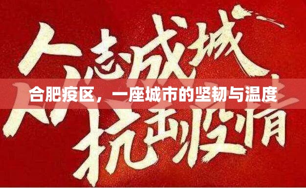 合肥疫区,一座城市的坚韧与温度