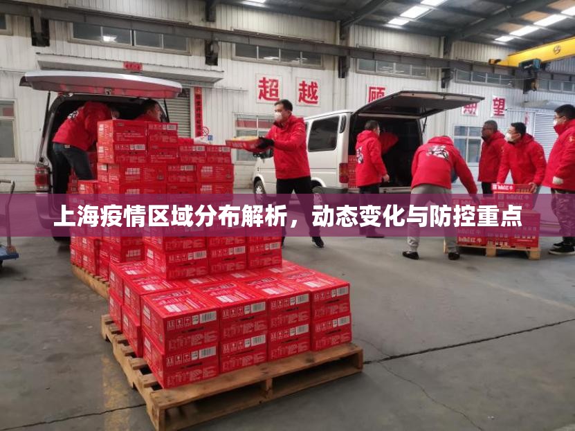 上海疫情区域分布解析,动态变化与防控重点