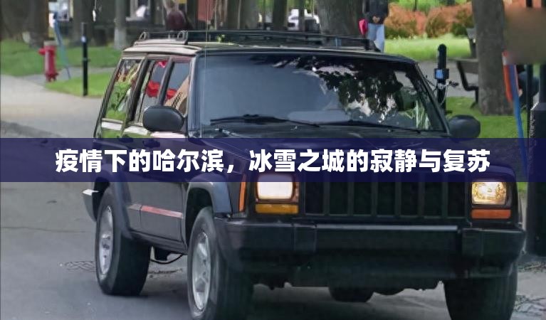 疫情下的哈尔滨,冰雪之城的寂静与复苏