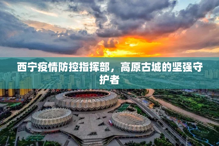 西宁疫情防控指挥部,高原古城的坚强守护者