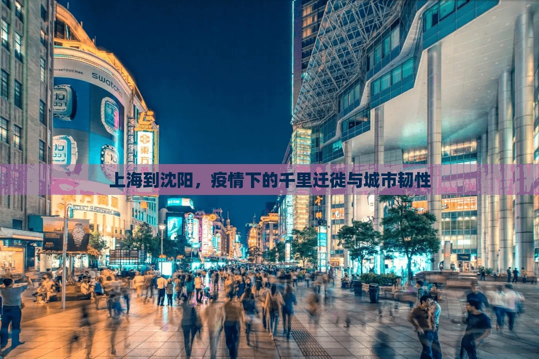 上海到沈阳,疫情下的千里迁徙与城市韧性