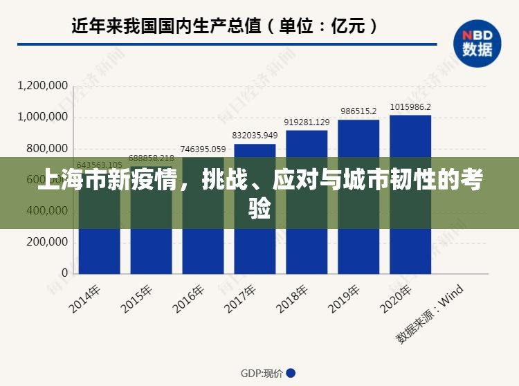 上海市新疫情,挑战、应对与城市韧性的考验