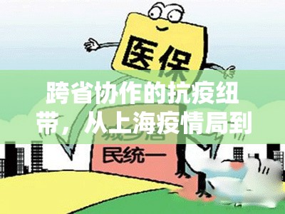 跨省协作的抗疫纽带,从上海疫情局到海南省分局电话的思考