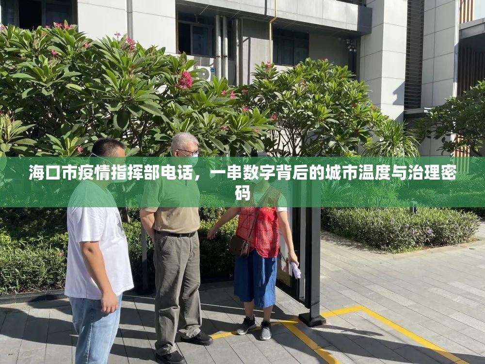海口市疫情指挥部电话,一串数字背后的城市温度与治理密码