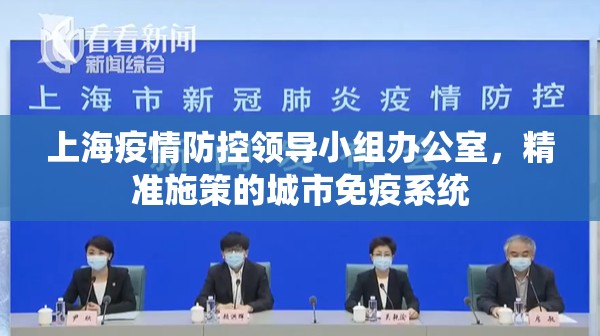 上海疫情防控领导小组办公室,精准施策的城市免疫系统