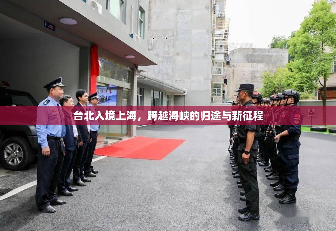 台北入境上海,跨越海峡的归途与新征程