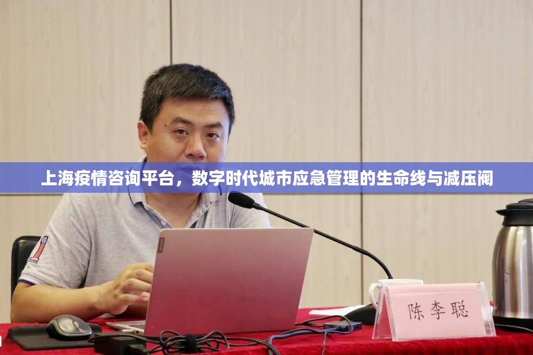 上海疫情咨询平台,数字时代城市应急管理的生命线与减压阀