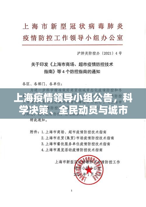 上海疫情领导小组公告,科学决策、全民动员与城市韧性的三重奏