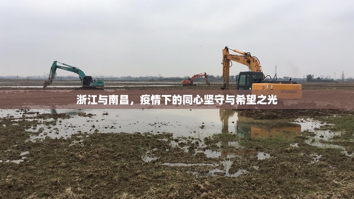 浙江与南昌,疫情下的同心坚守与希望之光
