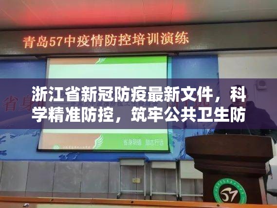 浙江省新冠防疫最新文件,科学精准防控,筑牢公共卫生防线