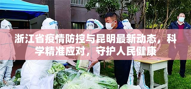 浙江省疫情防控与昆明最新动态,科学精准应对,守护人民健康