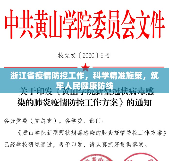 浙江省疫情防控工作,科学精准施策,筑牢人民健康防线