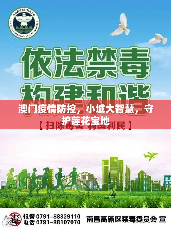 澳门疫情防控,小城大智慧,守护莲花宝地