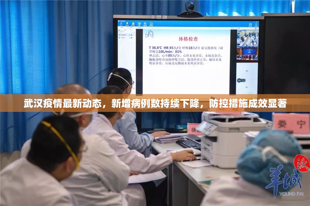 武汉疫情最新动态,新增病例数持续下降,防控措施成效显著