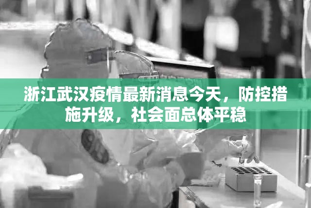 浙江武汉疫情最新消息今天,防控措施升级,社会面总体平稳