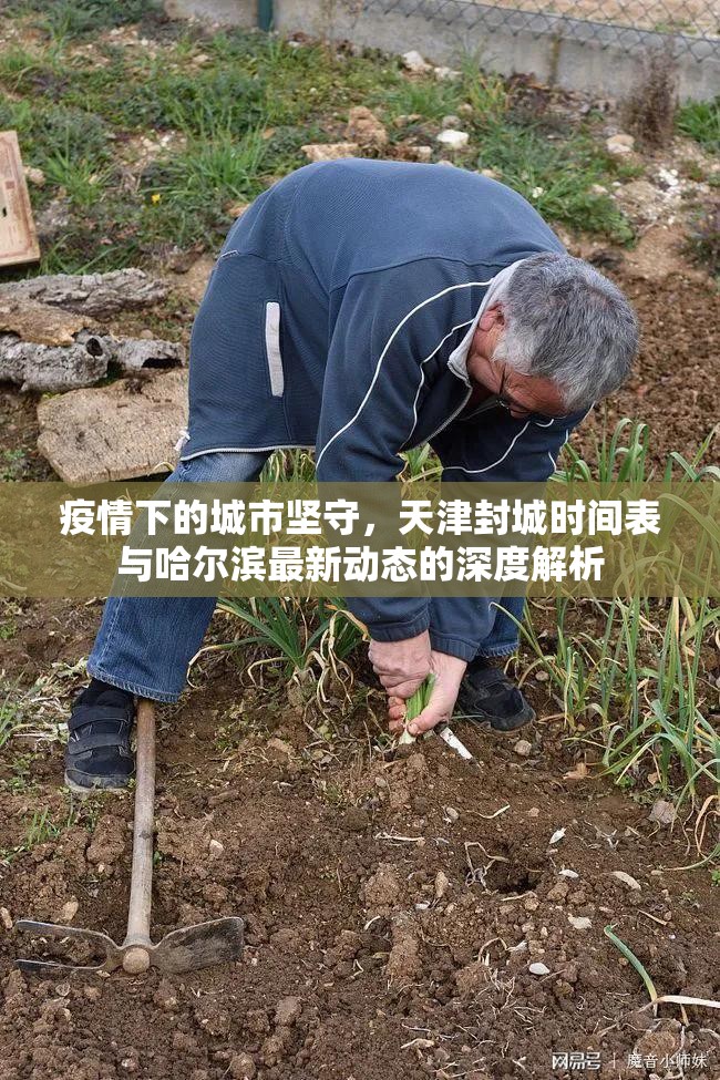 疫情下的城市坚守,天津封城时间表与哈尔滨最新动态的深度解析