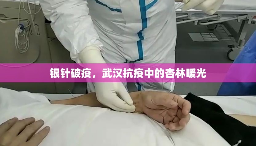银针破疫,武汉抗疫中的杏林暖光