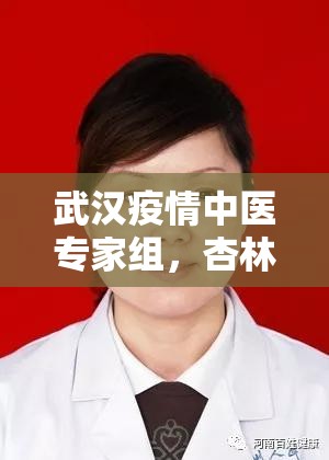 武汉疫情中医专家组,杏林春暖济苍生