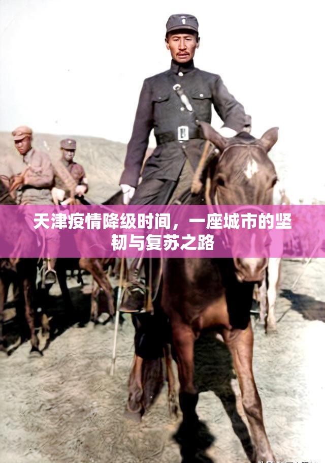 天津疫情降级时间,一座城市的坚韧与复苏之路