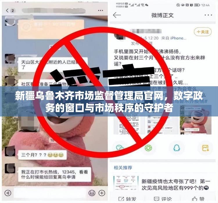新疆乌鲁木齐市场监督管理局官网,数字政务的窗口与市场秩序的守护者
