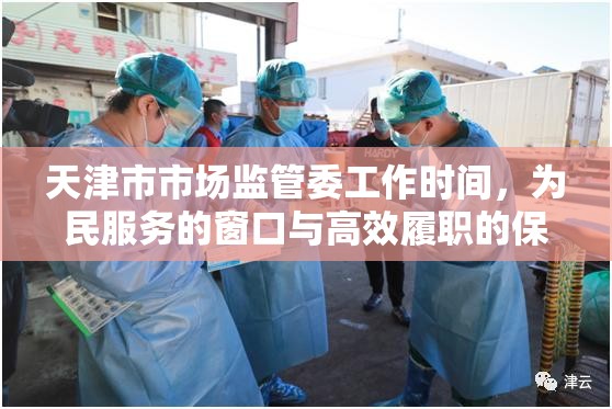 天津市市场监管委工作时间,为民服务的窗口与高效履职的保障
