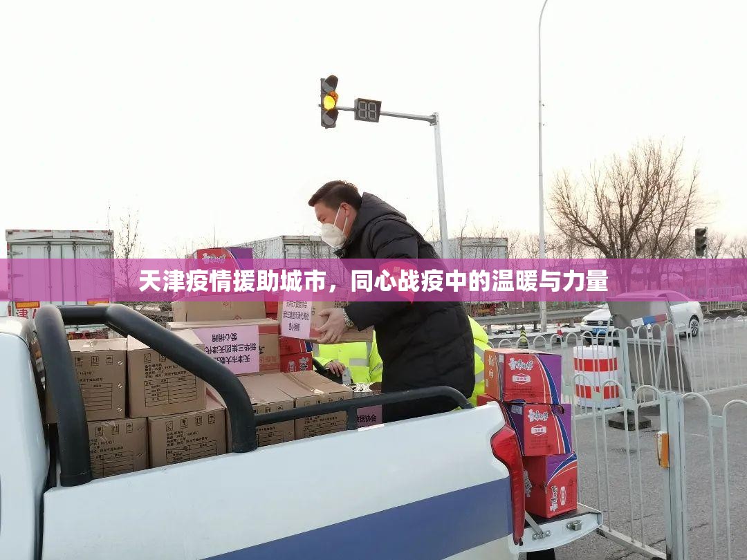 天津疫情援助城市,同心战疫中的温暖与力量