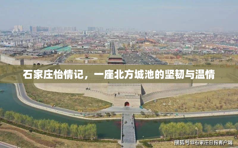 石家庄怡情记,一座北方城池的坚韧与温情