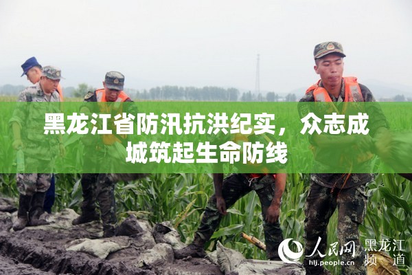 黑龙江省防汛抗洪纪实,众志成城筑起生命防线