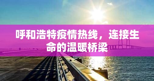 呼和浩特疫情热线,连接生命的温暖桥梁