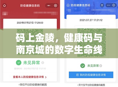 码上金陵,健康码与南京城的数字生命线