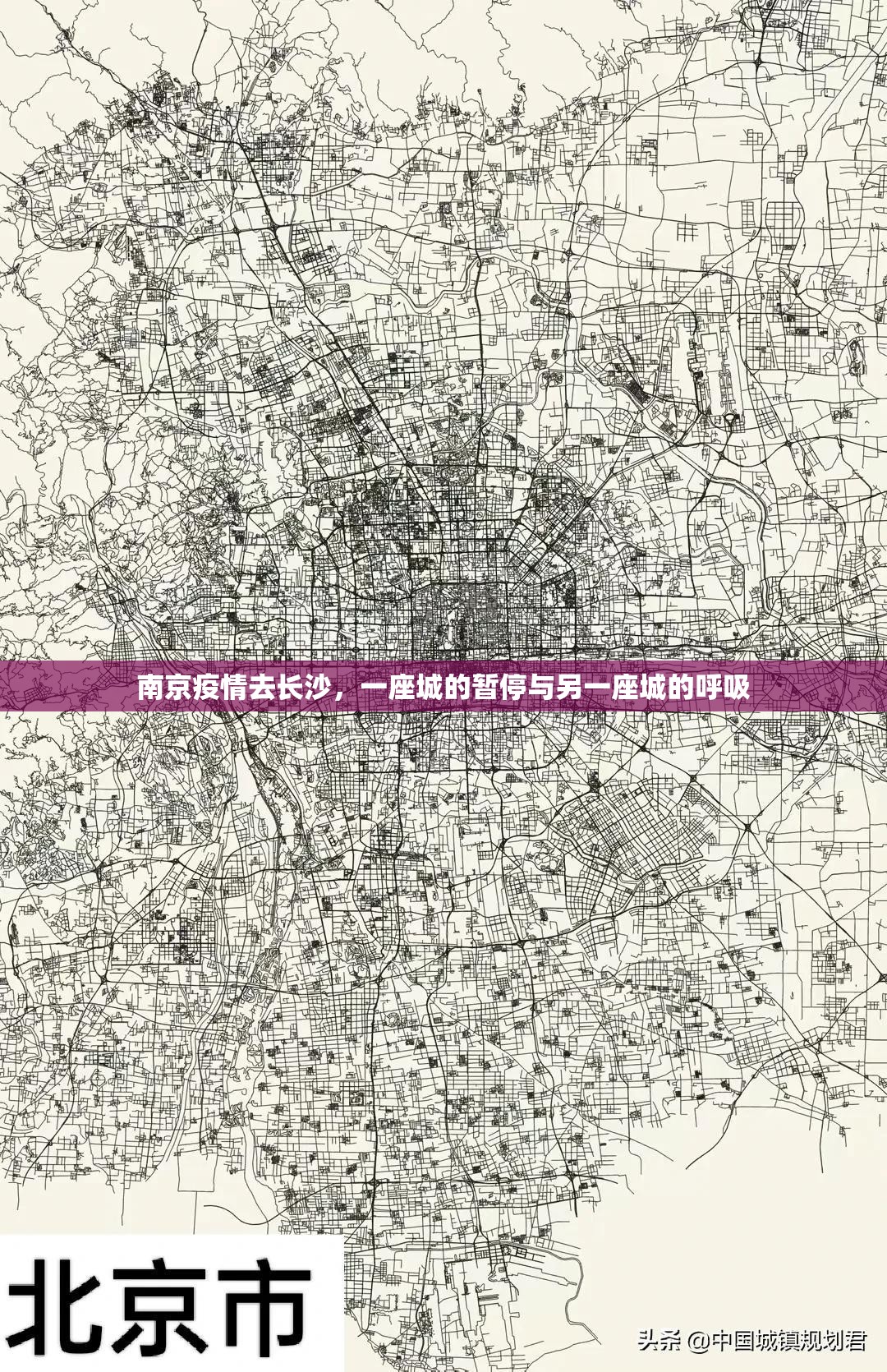南京疫情去长沙,一座城的暂停与另一座城的呼吸