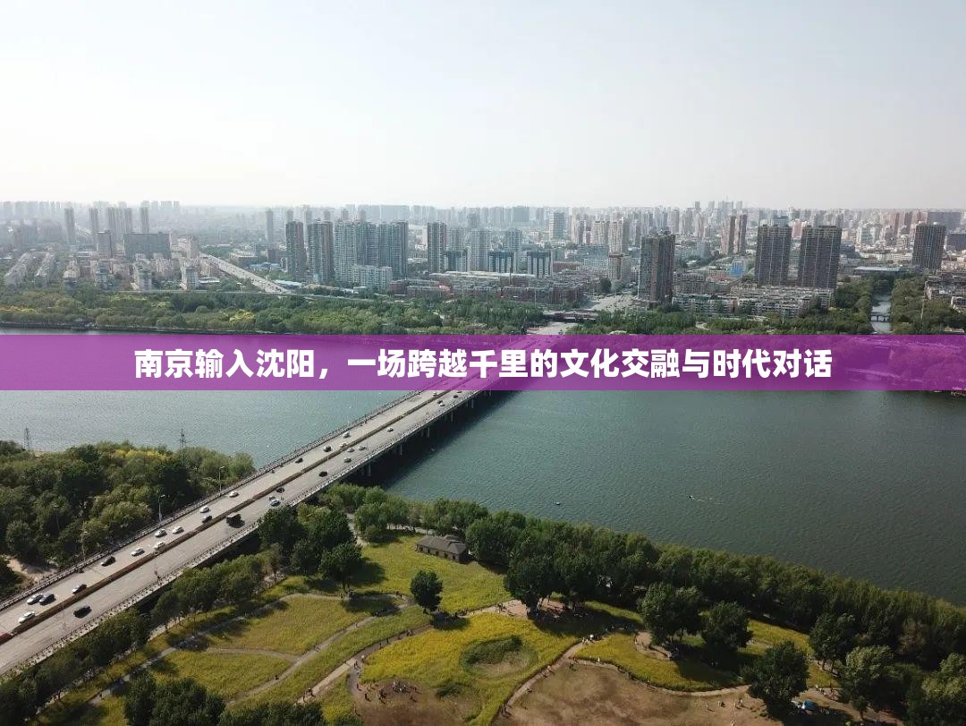 南京输入沈阳,一场跨越千里的文化交融与时代对话