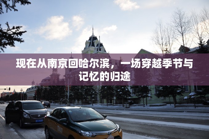 现在从南京回哈尔滨,一场穿越季节与记忆的归途