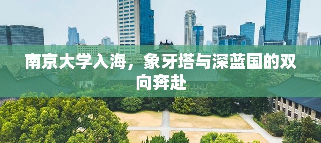 南京大学入海,象牙塔与深蓝国的双向奔赴