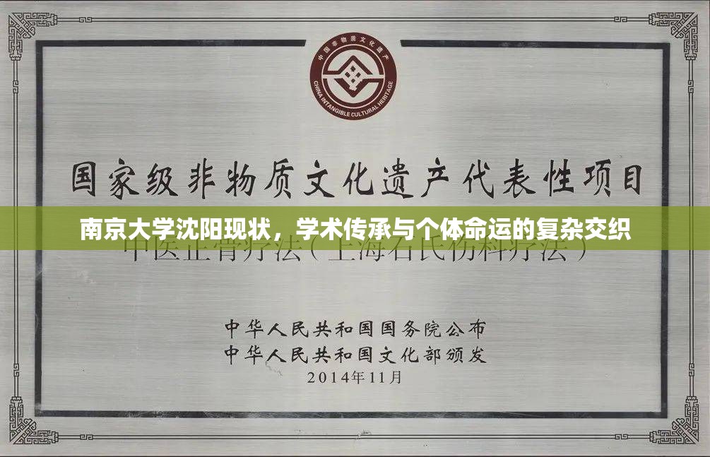 南京大学沈阳现状,学术传承与个体命运的复杂交织