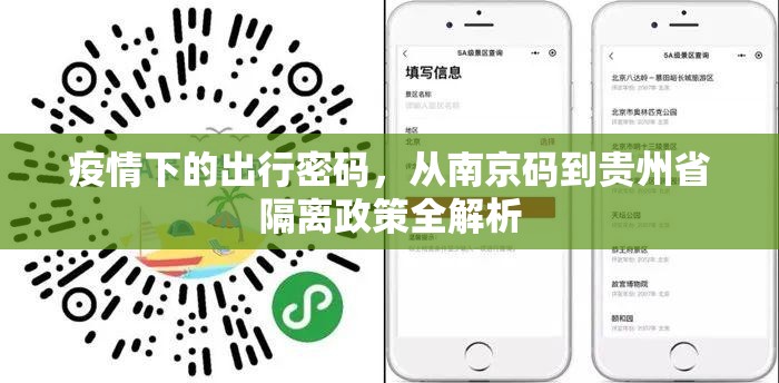 疫情下的出行密码,从南京码到贵州省隔离政策全解析