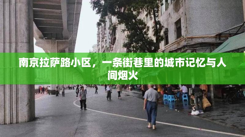 南京拉萨路小区,一条街巷里的城市记忆与人间烟火
