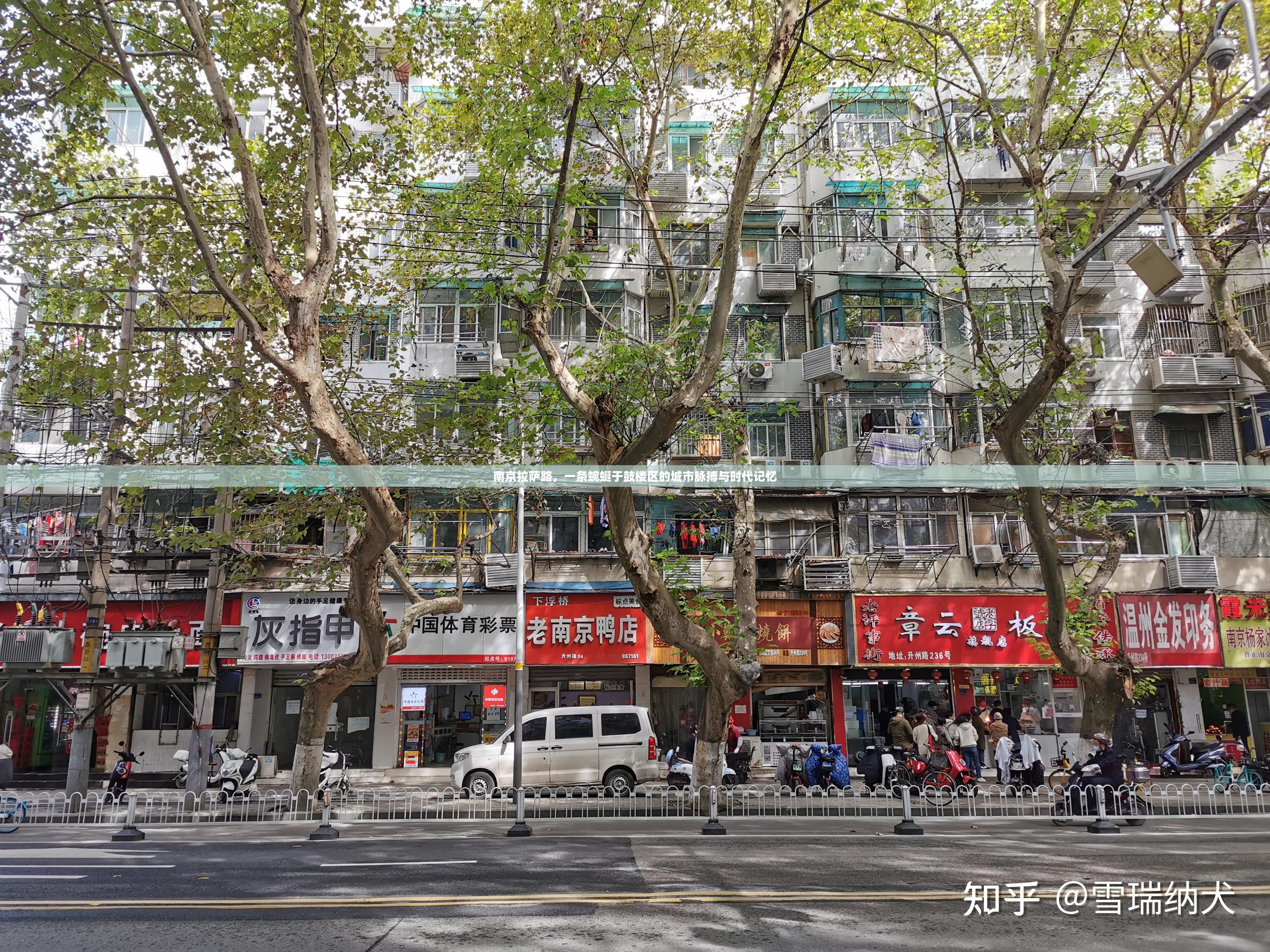 南京拉萨路,一条蜿蜒于鼓楼区的城市脉搏与时代记忆