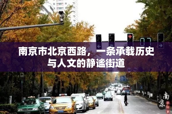 南京市北京西路,一条承载历史与人文的静谧街道