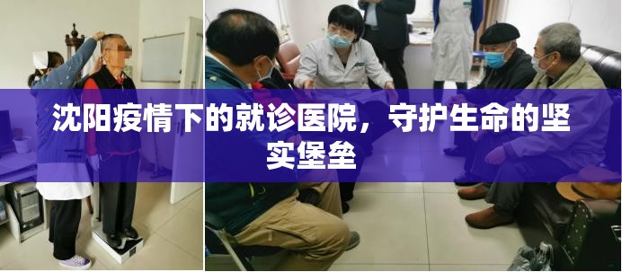 沈阳疫情下的就诊医院,守护生命的坚实堡垒