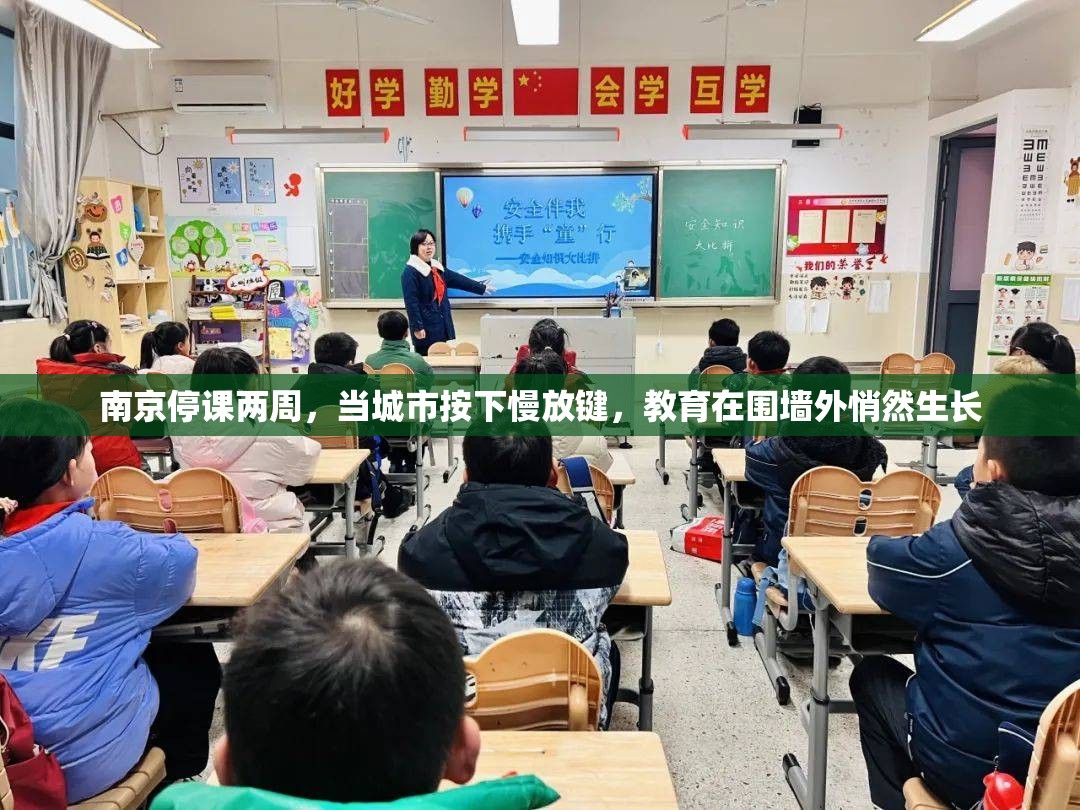 南京停课两周,当城市按下慢放键,教育在围墙外悄然生长