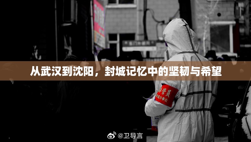 从武汉到沈阳,封城记忆中的坚韧与希望
