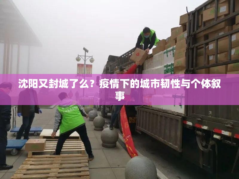 沈阳又封城了么?疫情下的城市韧性与个体叙事