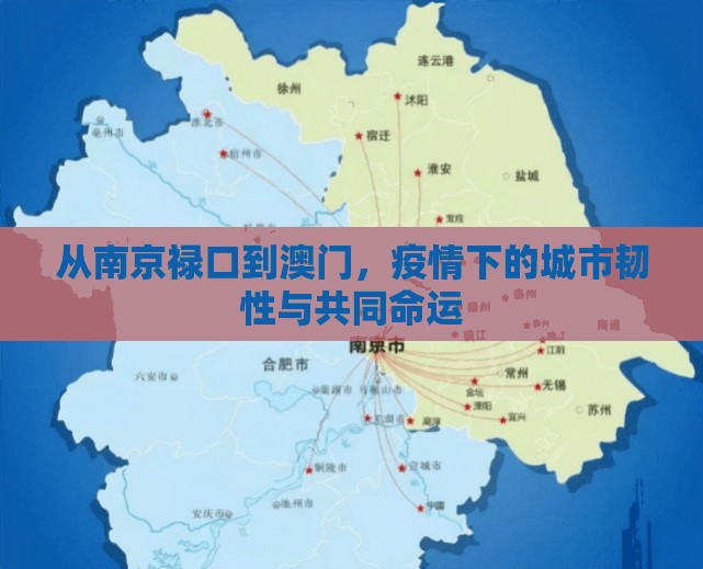 从南京禄口到澳门,疫情下的城市韧性与共同命运