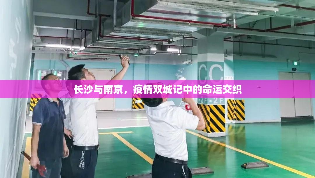 长沙与南京,疫情双城记中的命运交织