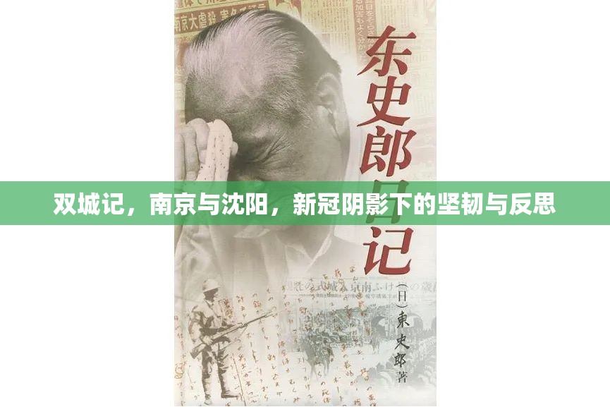 双城记,南京与沈阳,新冠阴影下的坚韧与反思
