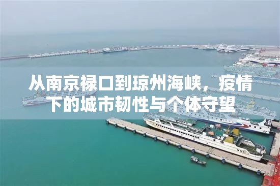 从南京禄口到琼州海峡,疫情下的城市韧性与个体守望